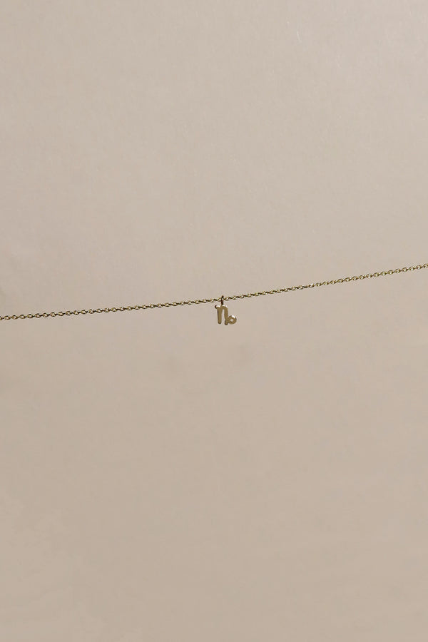 PETITE CAPRICORN ZODIAC NECKLACE