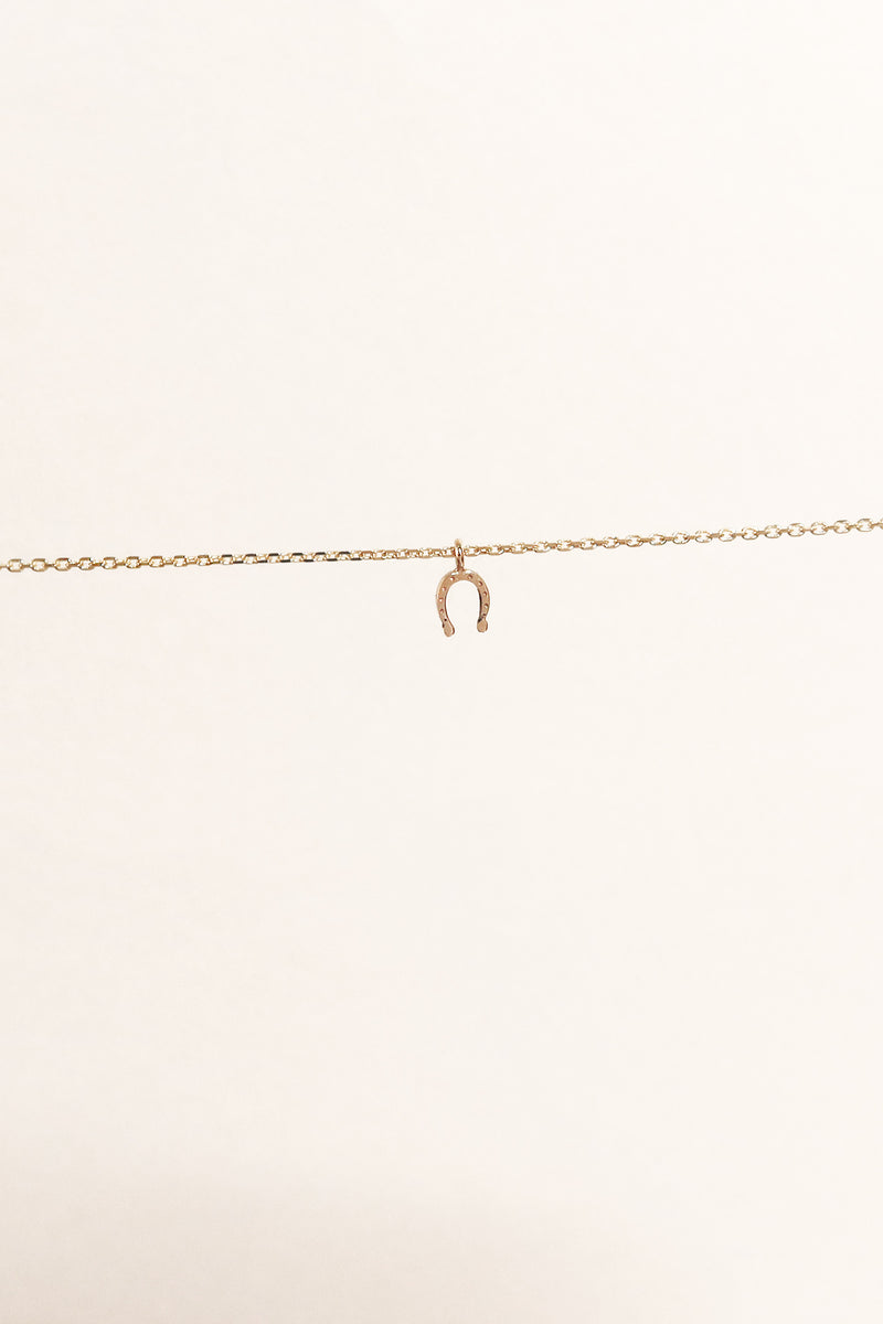 THE UNITY HORSESHOE NECKLACE