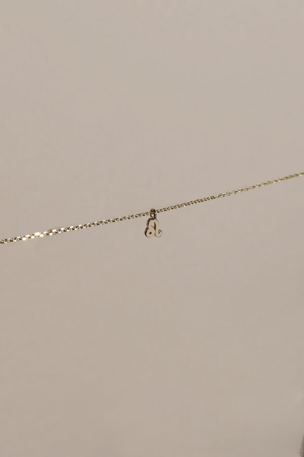 PETITE LEO ZODIAC NECKLACE